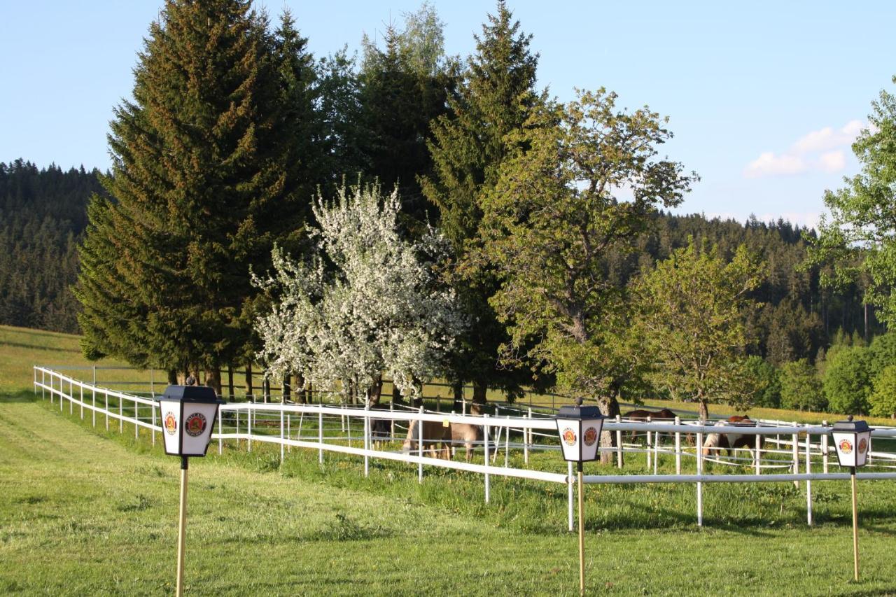 Landhotel Bartlehof Schluchsee Room photo